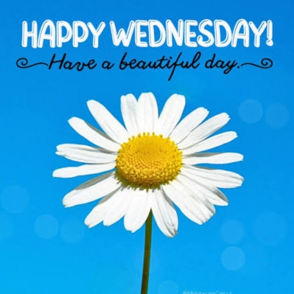 °◇SHOW LISTING◇° - Picture 2 of 16